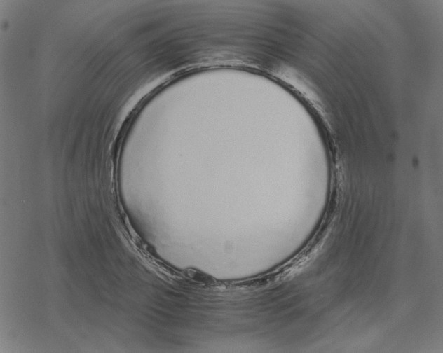 X0000078240933200612011601