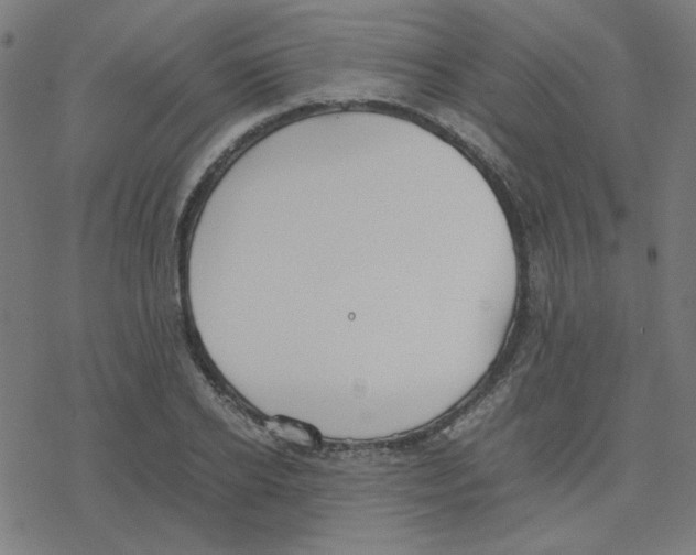 X0000078240934200612011601