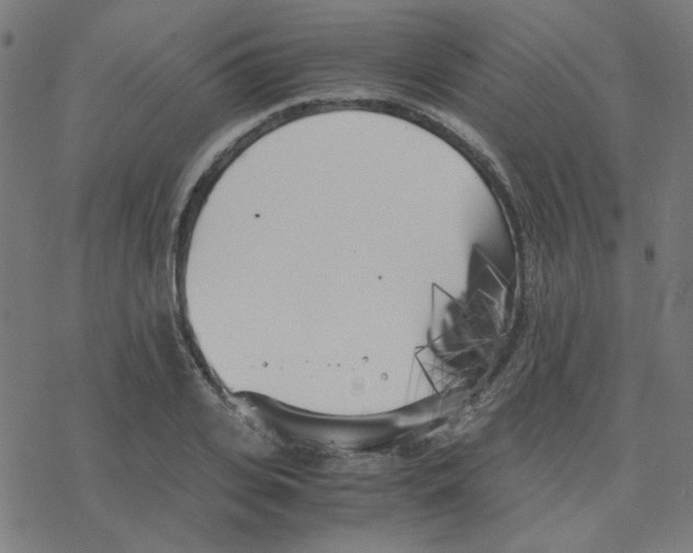 X0000078240935200612011601