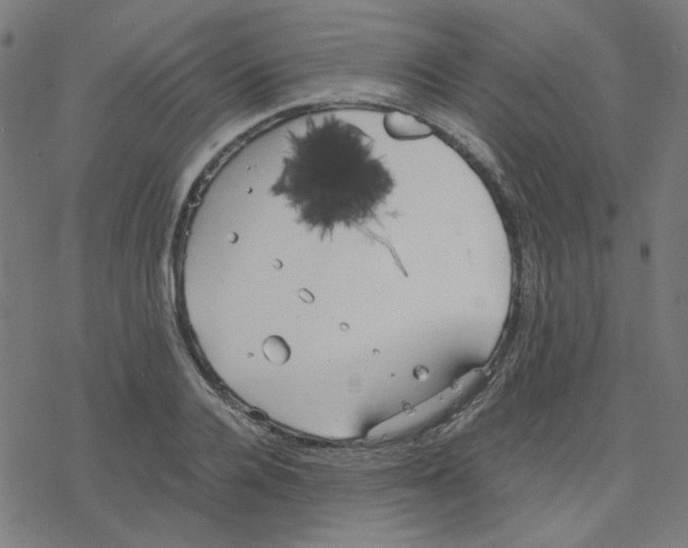 X0000078240936200612011601