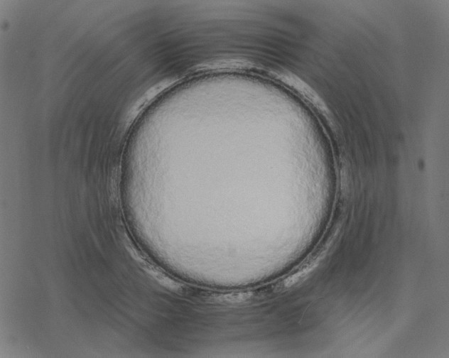 X0000078240937200612011601