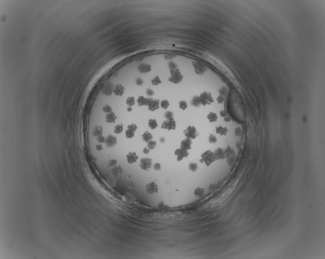 X0000078240939200612011601