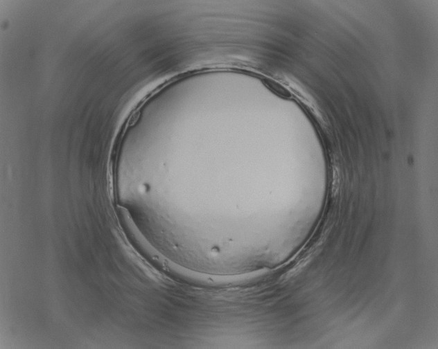 X0000078240940200612011601