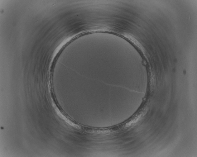 X0000078240941200612011601