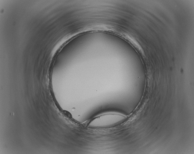 X0000078240944200612011601