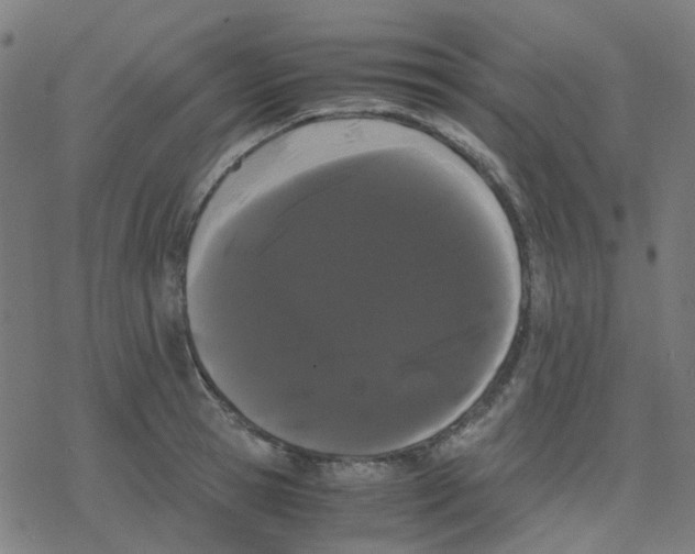 X0000078240945200612011601