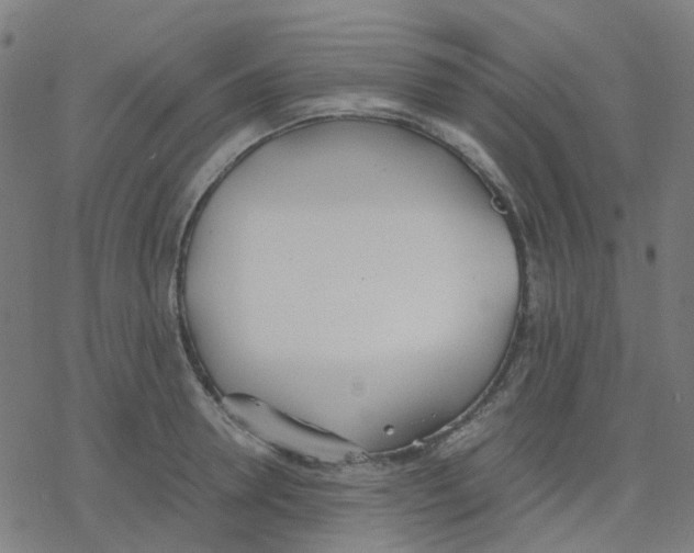 X0000078240946200612011601