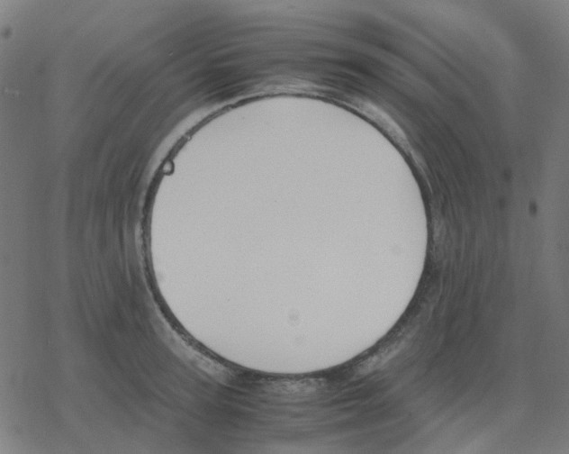 X0000078240947200612011601