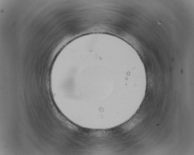 X0000078240950200612011601