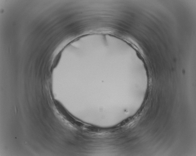 X0000078240952200612011601