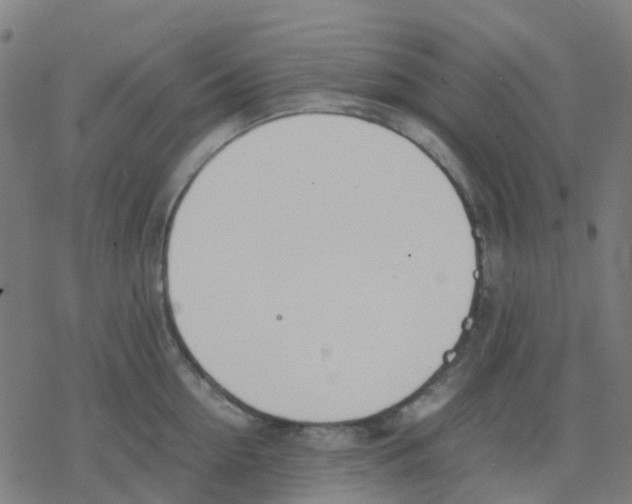 X0000078240954200612011601