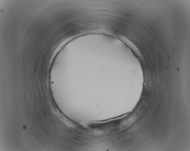 X0000078240956200612011601