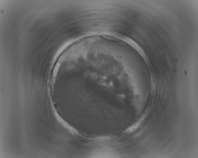 X0000078240958200612011601