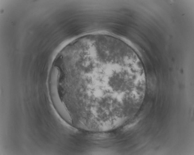 X0000078240959200612011601