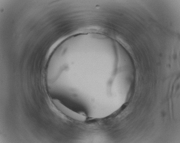 X0000078240960200612011601