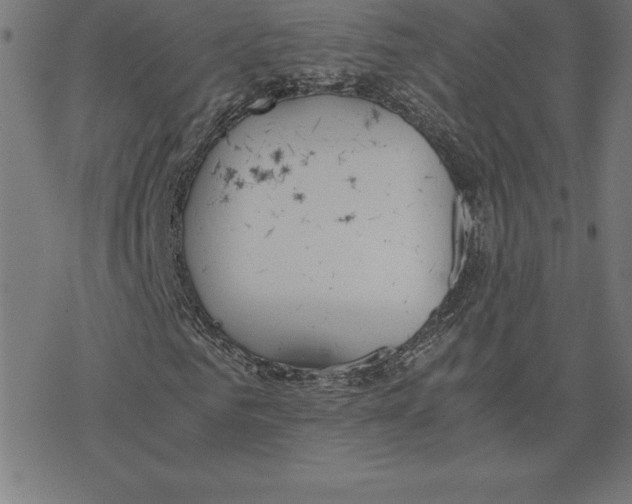 X0000078240961200612011600