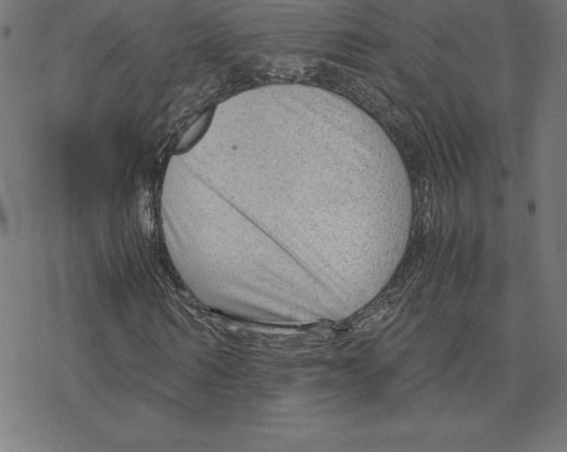 X0000078240962200612011600