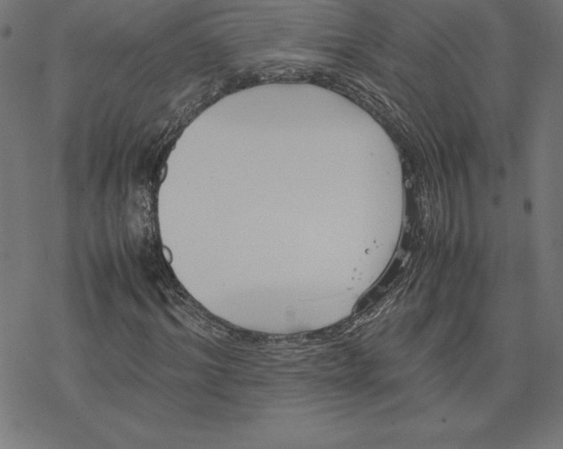 X0000078240964200612011600