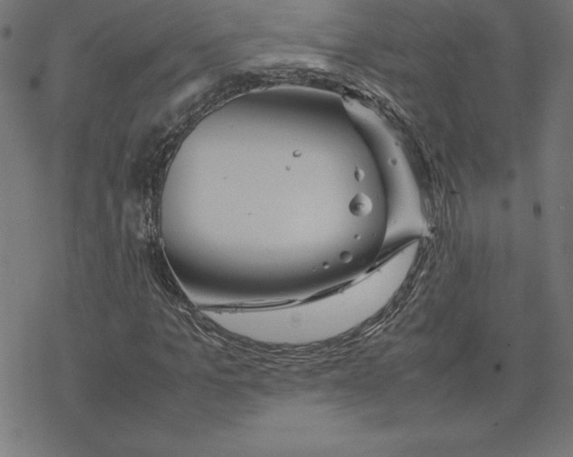 X0000078240965200612011600