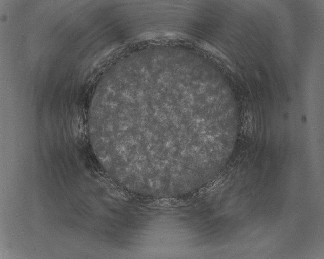 X0000078240966200612011600