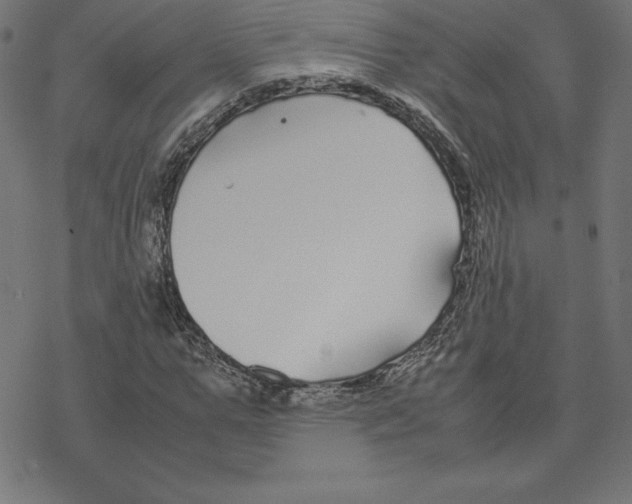 X0000078240967200612011600