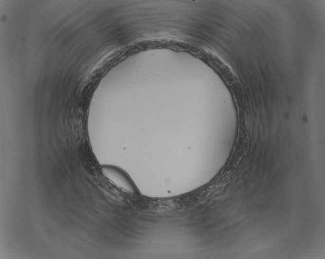 X0000078240968200612011600