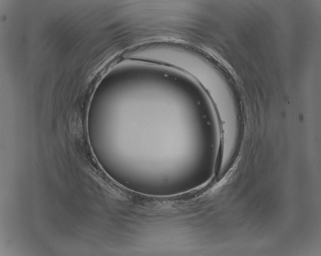 X0000078240969200612011600