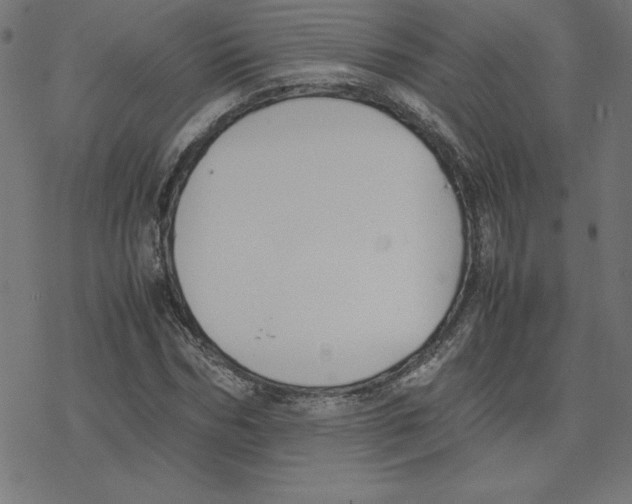 X0000078240970200612011600