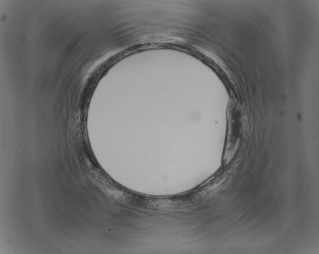 X0000078240971200612011600