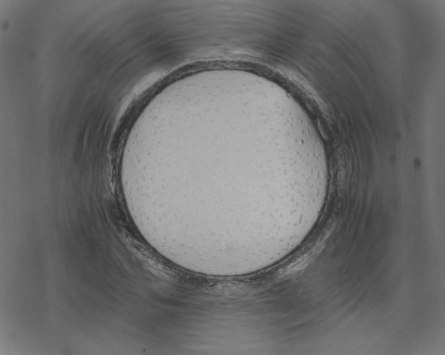 X0000078240974200612011600