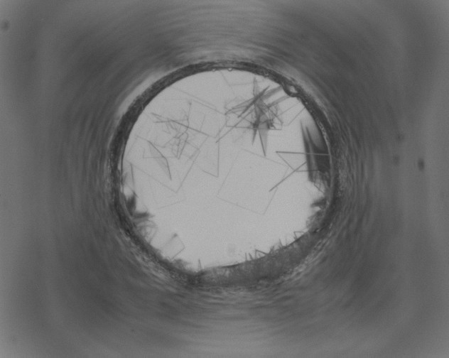 X0000078240975200612011600