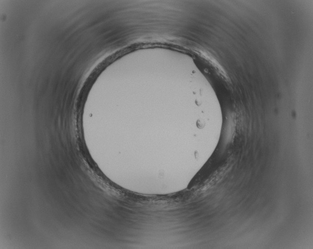 X0000078240976200612011600