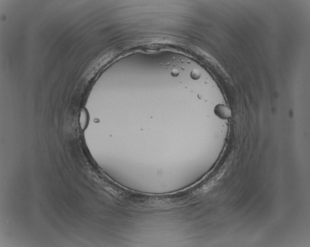 X0000078240977200612011600