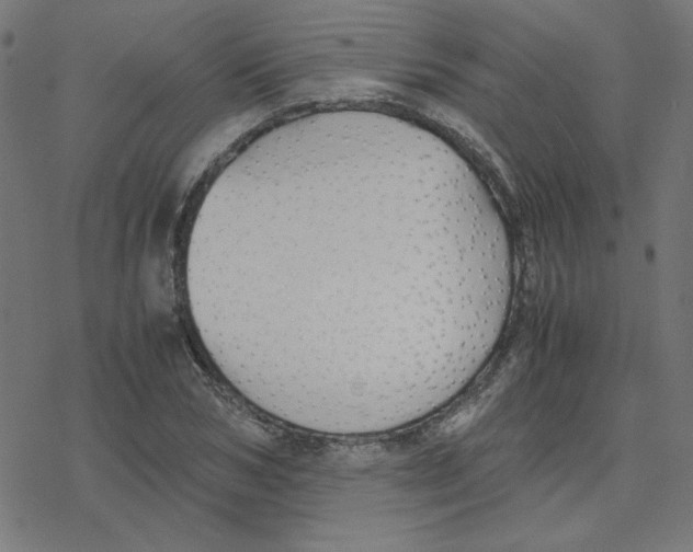 X0000078240978200612011600