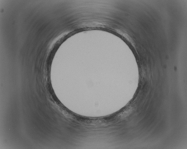 X0000078240979200612011600