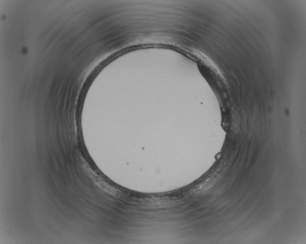 X0000078240980200612011600