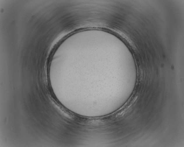 X0000078240982200612011600