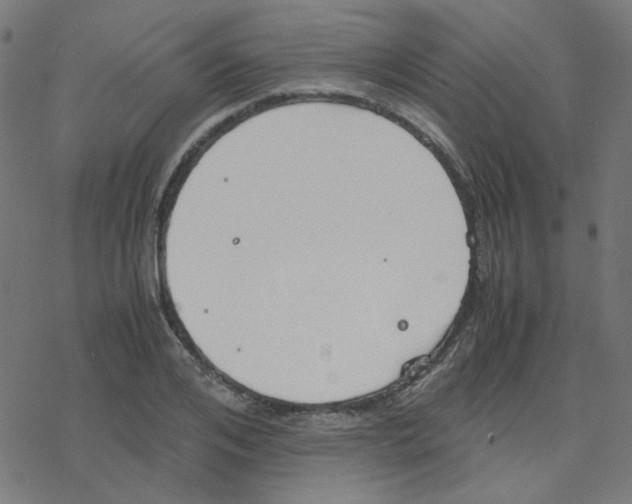 X0000078240984200612011600