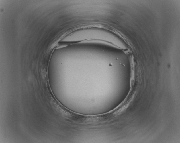 X0000078240985200612011600