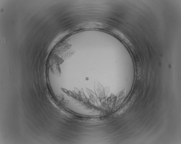 X0000078240986200612011600