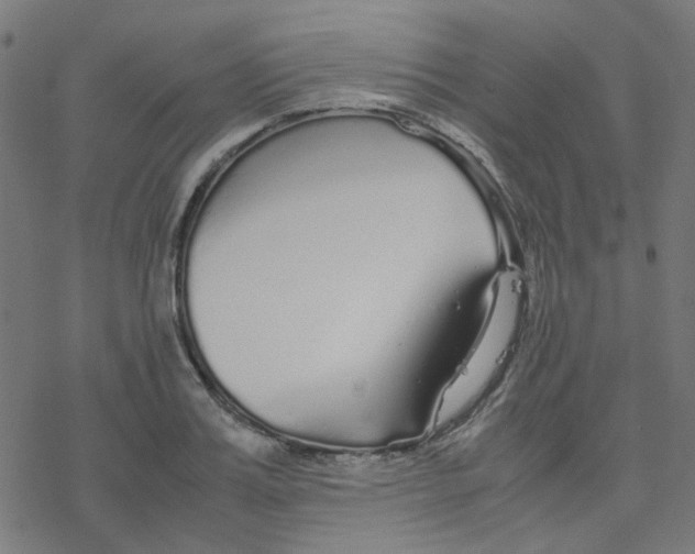 X0000078240987200612011600