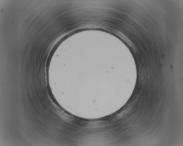 X0000078240988200612011600