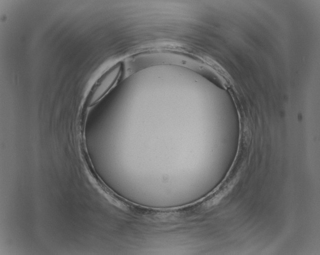 X0000078240989200612011600