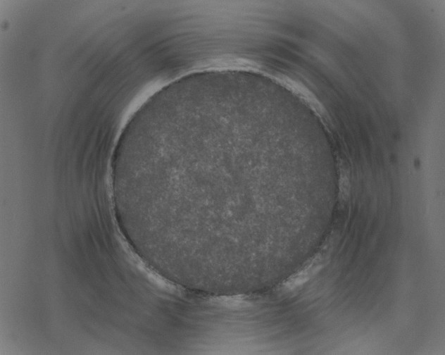 X0000078240990200612011600