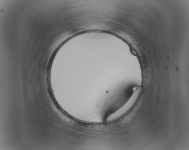 X0000078240991200612011600