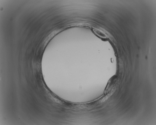 X0000078240993200612011600