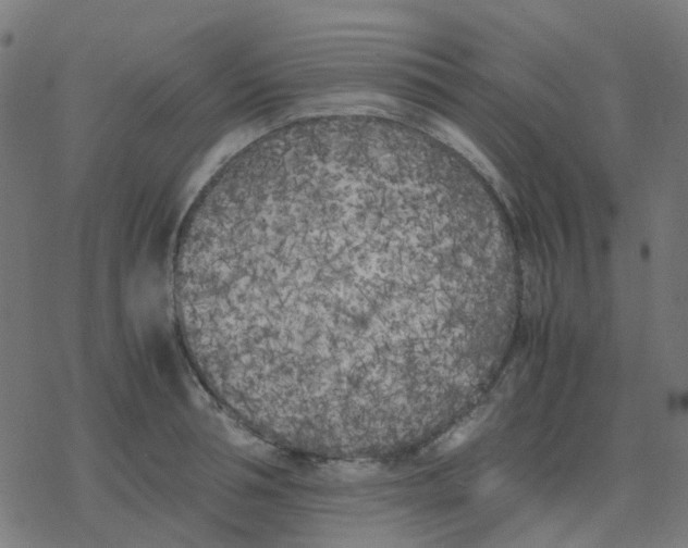 X0000078240994200612011600