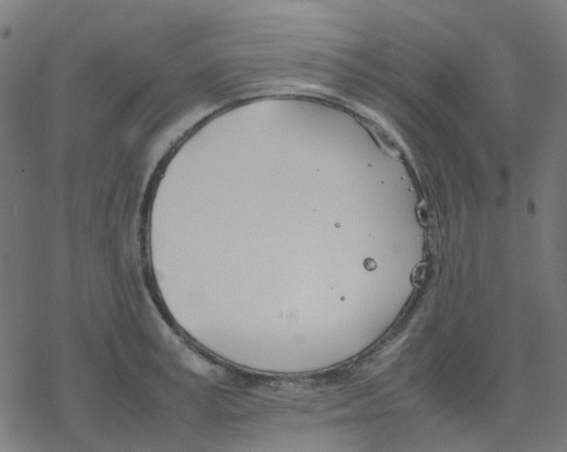 X0000078240995200612011600