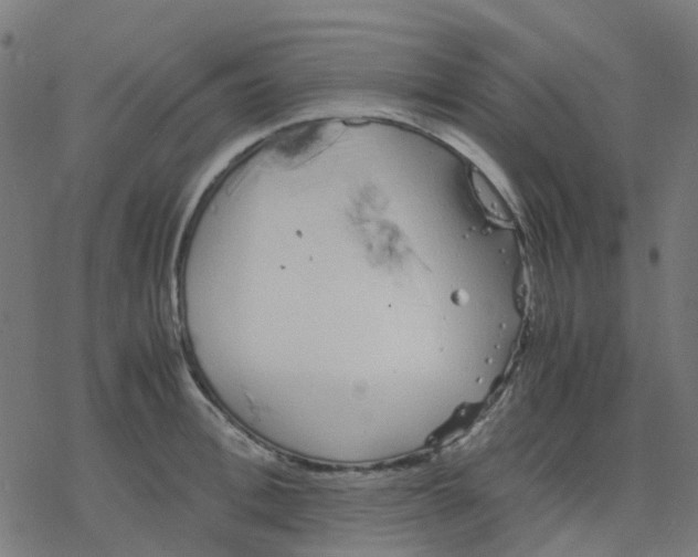 X0000078240996200612011600