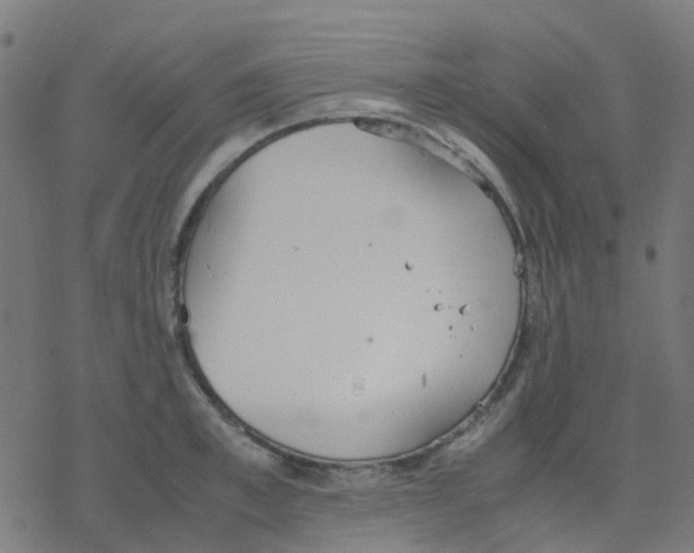 X0000078240997200612011600